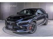 2025 LEXUS RX