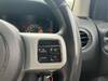 CHRYSLER JEEP COMPASS
