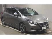 2019 NISSAN LEAF