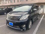 2013 TOYOTA ALPHARD
