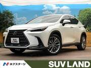 2023 LEXUS NX