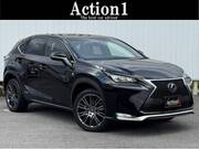 2015 LEXUS NX