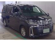 2019 TOYOTA ALPHARD HYBRID