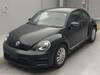 VOLKSWAGEN THE BEETLE