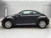 VOLKSWAGEN THE BEETLE