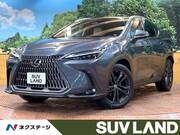 2022 LEXUS NX