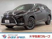 2022 LEXUS RX