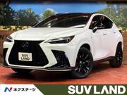 2023 LEXUS NX