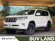 2019 TOYOTA LAND CRUISER PRADO TX