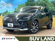 2017 LEXUS NX