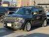 CHRYSLER JEEP RENEGADE
