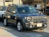CHRYSLER JEEP RENEGADE