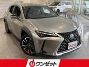 2020 LEXUS UX