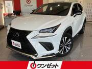 2018 LEXUS NX
