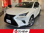 2018 LEXUS NX