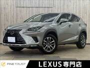 2018 LEXUS NX