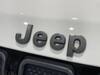 CHRYSLER JEEP COMPASS