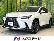 2023 LEXUS NX