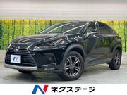 2020 LEXUS NX