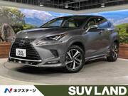 2019 LEXUS NX