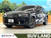 2020 LEXUS UX