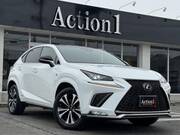 2019 LEXUS NX