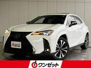 2021 LEXUS UX