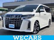 2019 TOYOTA ALPHARD G