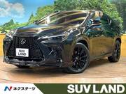 2023 LEXUS NX