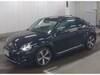 VOLKSWAGEN THE BEETLE