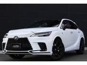 2024 LEXUS RX
