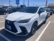 2024 LEXUS NX