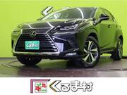 2018 LEXUS NX