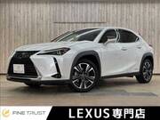 2019 LEXUS UX
