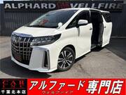 2019 TOYOTA ALPHARD