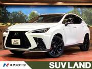 2025 LEXUS NX