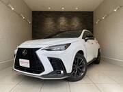 2024 LEXUS NX