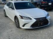 2019 LEXUS ES