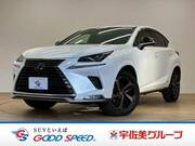 2020 LEXUS NX