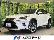 2019 LEXUS NX