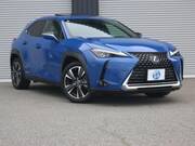 2018 LEXUS UX