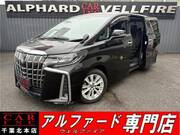 2019 TOYOTA ALPHARD 2.5S