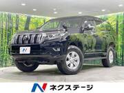 2021 TOYOTA LAND CRUISER PRADO TX