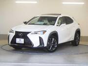 2021 LEXUS UX