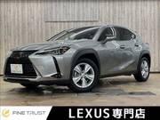 2019 LEXUS UX