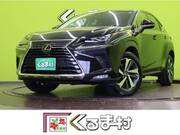 2018 LEXUS NX