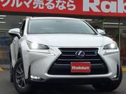 2017 LEXUS NX