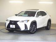 2019 LEXUS UX