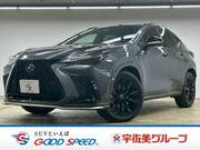 2023 LEXUS NX