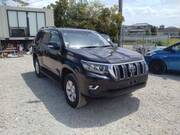 2019 TOYOTA LAND CRUISER PRADO